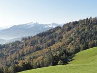  23. Oktober 2011 - ein Herbstwald mit schneebedecktem Säntis im Hintergrund